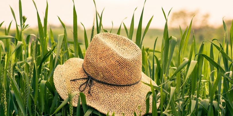 Caribes Jubiläums-Sommerfest am 6. Juli 2019 Straw_Hat_Field